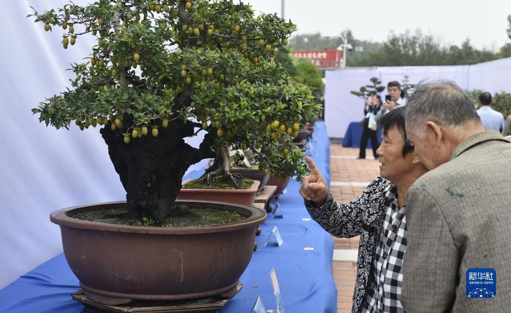 超会赢下载
